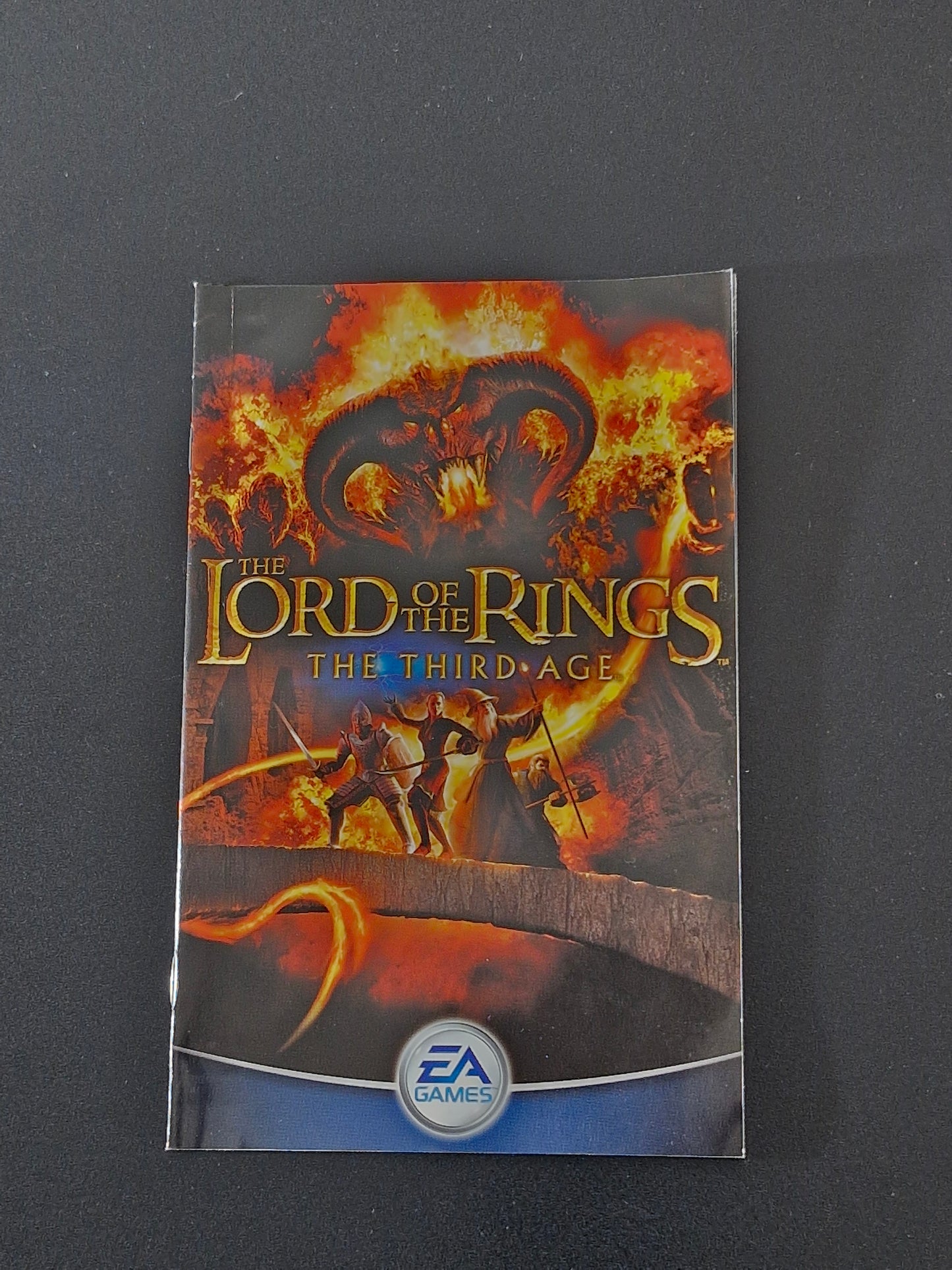 The Lord of the Rings: The Third Age (EA Games)
